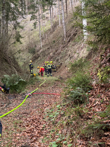 KHD Waldbrand Übung Breitenau 11.04.2026